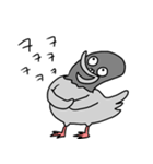 澄んだ目の鳩（個別スタンプ：8）