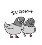澄んだ目の鳩（個別スタンプ：9）