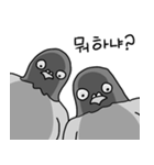 澄んだ目の鳩（個別スタンプ：10）