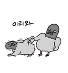 澄んだ目の鳩（個別スタンプ：14）
