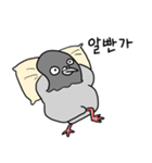 澄んだ目の鳩（個別スタンプ：17）