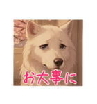 桜チロル（個別スタンプ：3）