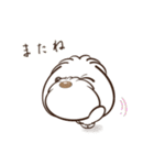 ほのぼのマルチーズと一緒（日常）（個別スタンプ：11）