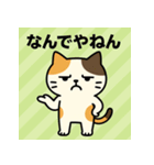 「真面目系みけネコの日常」（個別スタンプ：5）
