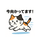 「真面目系みけネコの日常」（個別スタンプ：6）