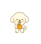 トイプードルのプチくん2（個別スタンプ：7）