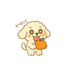 トイプードルのプチくん2（個別スタンプ：9）