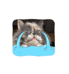 UNEちゃん動くスタンプ（個別スタンプ：2）