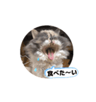 UNEちゃん動くスタンプ（個別スタンプ：4）