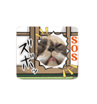 UNEちゃん動くスタンプ（個別スタンプ：6）