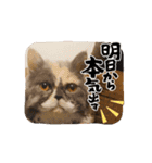 UNEちゃん動くスタンプ（個別スタンプ：8）