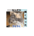 UNEちゃん動くスタンプ（個別スタンプ：11）