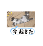 UNEちゃん動くスタンプ（個別スタンプ：12）