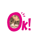 UNEちゃん動くスタンプ（個別スタンプ：14）