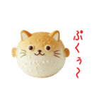 にゃん類、兄弟で一言Part2（個別スタンプ：2）