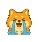 ポメのモコちゃんかわいいな①（個別スタンプ：10）