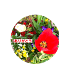 チューリップといっしょに感謝を伝えたい（個別スタンプ：1）