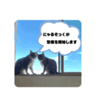 髙橋にゃんこ大集合（個別スタンプ：24）