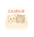 想いが伝わる！ねこスタンプ【毎日使える】（個別スタンプ：3）