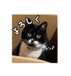 マサラ社長のLINEスタンプ（個別スタンプ：5）
