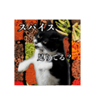 マサラ社長のLINEスタンプ（個別スタンプ：8）