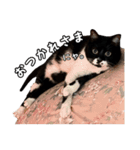 マサラ社長のLINEスタンプ（個別スタンプ：9）