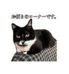 マサラ社長のLINEスタンプ（個別スタンプ：12）