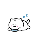 ぼはん猫 2（個別スタンプ：11）