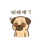 パグのぽやぽや日常★〞（個別スタンプ：7）