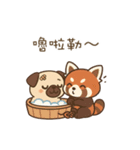 パグのぽやぽや日常★〞（個別スタンプ：14）