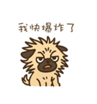 パグのぽやぽや日常★〞（個別スタンプ：19）