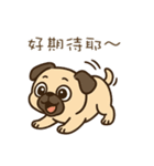 パグのぽやぽや日常★〞（個別スタンプ：23）