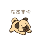 パグのぽやぽや日常★〞（個別スタンプ：25）