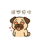 パグのぽやぽや日常★〞（個別スタンプ：34）