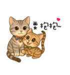 ふたごネコ（個別スタンプ：2）