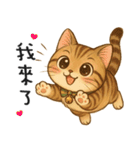 ふたごネコ（個別スタンプ：4）