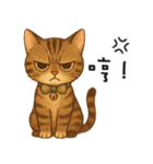 ふたごネコ（個別スタンプ：6）