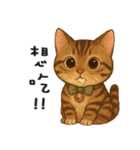 ふたごネコ（個別スタンプ：7）