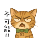 ふたごネコ（個別スタンプ：10）