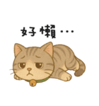 ふたごネコ（個別スタンプ：14）
