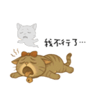 ふたごネコ（個別スタンプ：19）