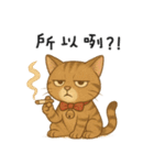 ふたごネコ（個別スタンプ：28）