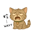 ふたごネコ（個別スタンプ：31）