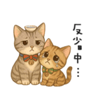 ふたごネコ（個別スタンプ：37）