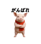 キュートなブタさん リアル2（個別スタンプ：7）