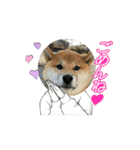 僕、わさび（個別スタンプ：8）