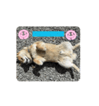僕、わさび（個別スタンプ：14）