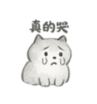 人生は良くないけど、私はまだ猫です（個別スタンプ：13）