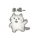 人生は良くないけど、私はまだ猫です（個別スタンプ：19）