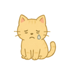 ふわっとシュールなねこ（個別スタンプ：28）
